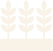 Agriculture Icon
