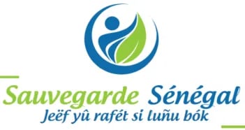 Domou ndar — image 1
