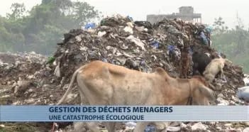 Valorisation de déchets plastiques — image 1